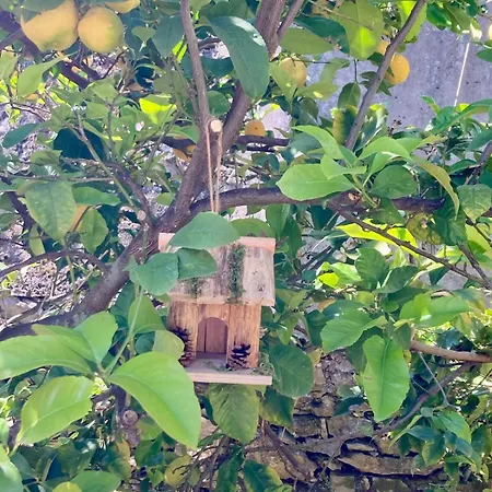 Σπίτι διακοπών Casa Margherita Parking